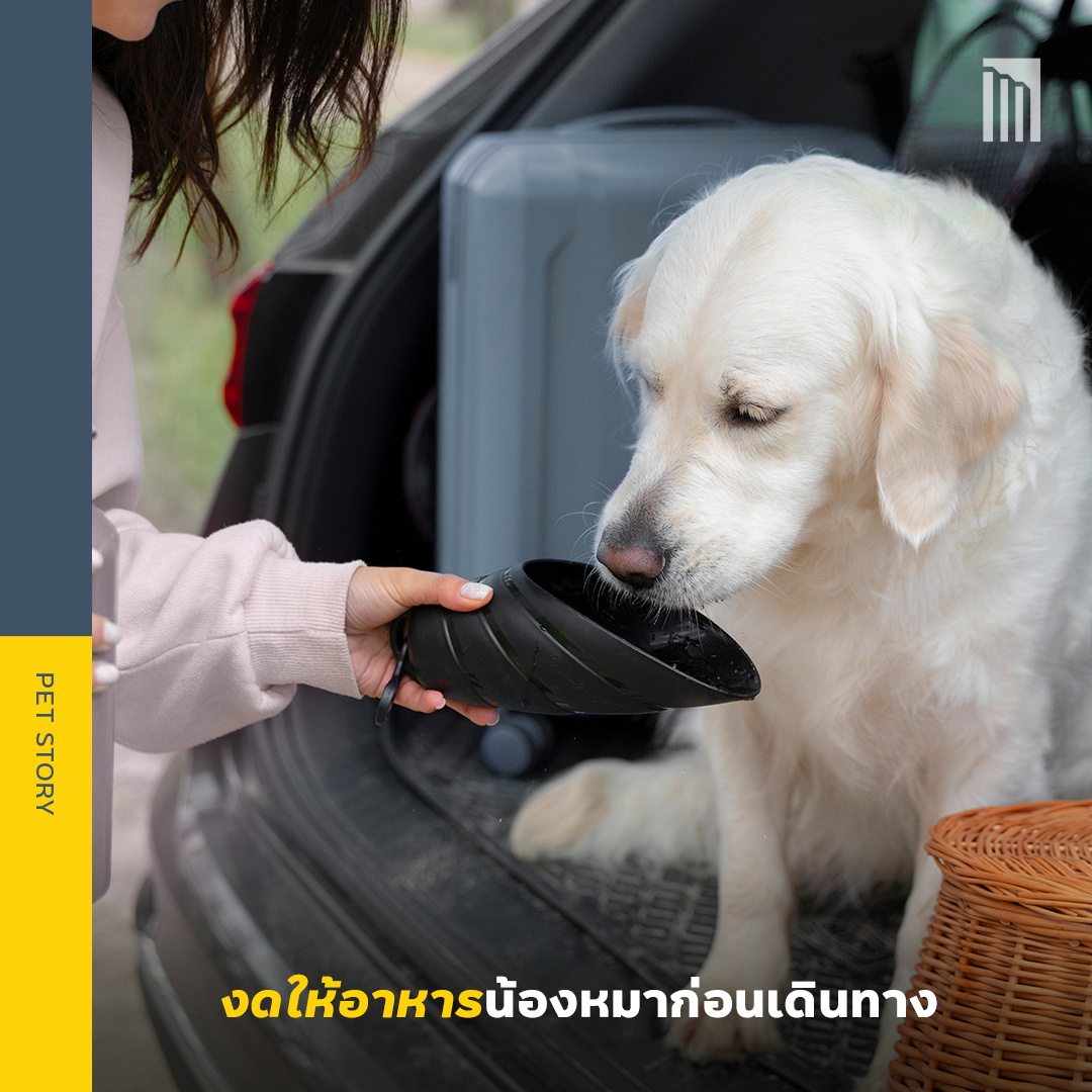221124_Content_เคล็ดลับเตรียมความพร้อม_FB03.png