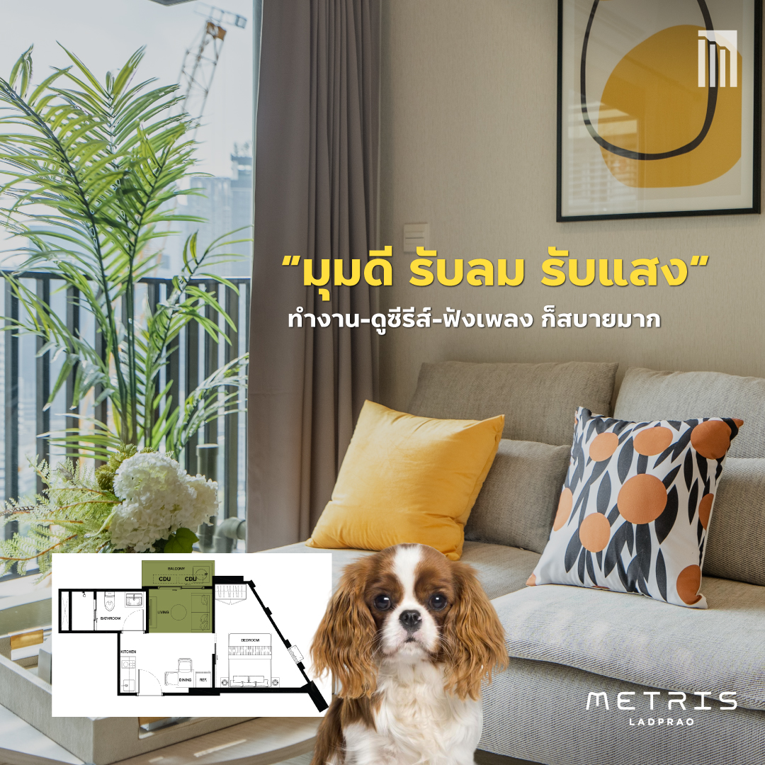 230118_LP_เปิดห้องลับ-ฉบับพิเศษ_P6.jpg