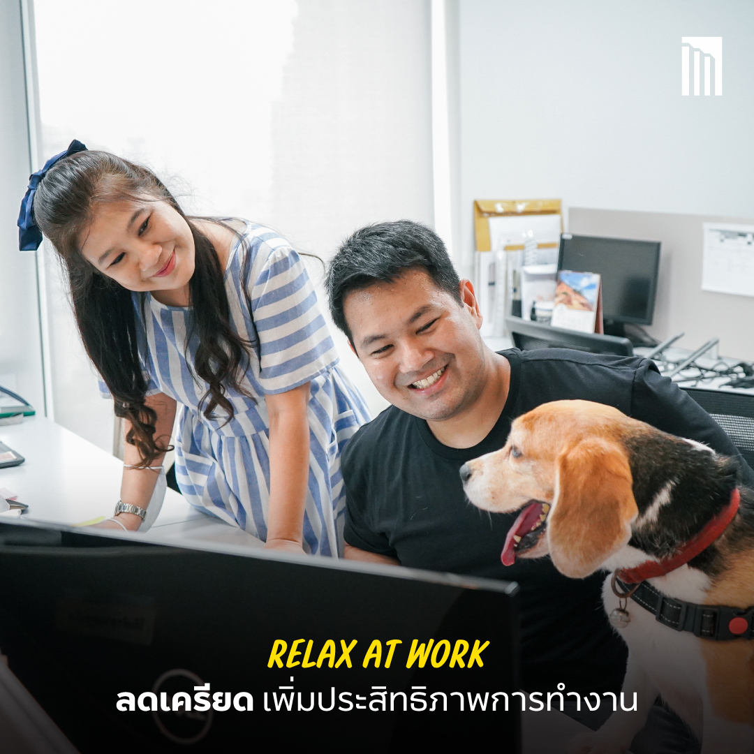 230403_PetFriendly-Office_สุขเท่าเทียม_P4.jpg