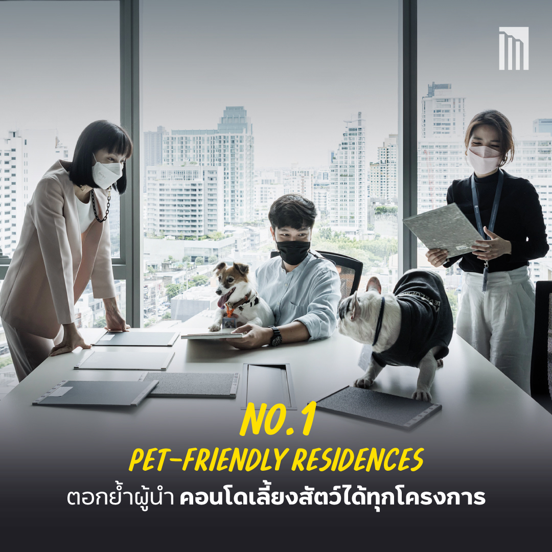 230403_PetFriendly-Office_สุขเท่าเทียม_P5.jpg