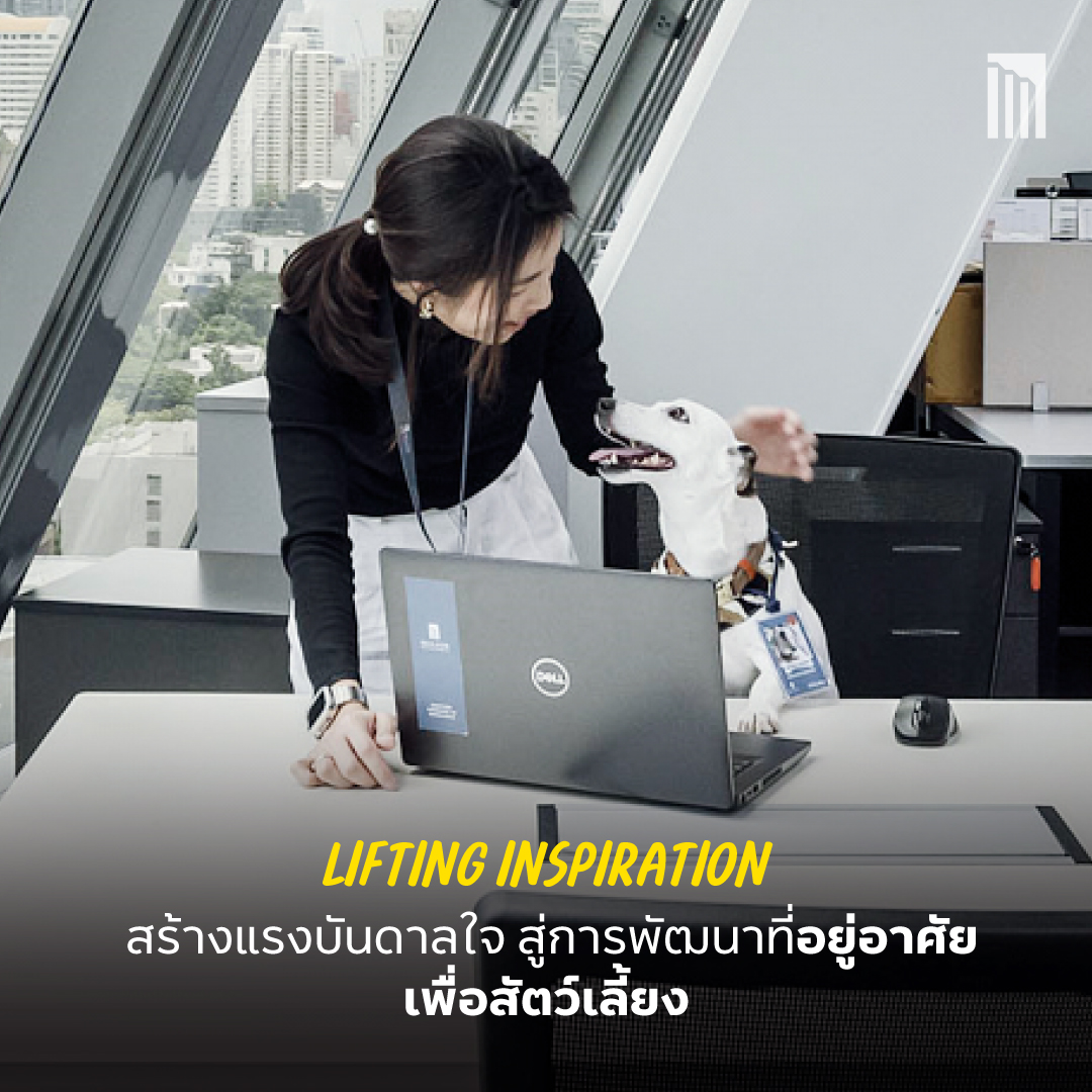 230403_PetFriendly-Office_สุขเท่าเทียม_P6.jpg