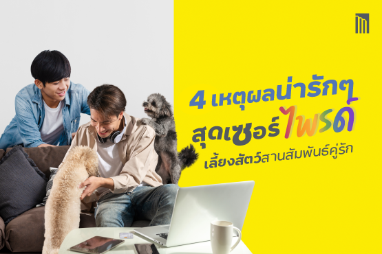 230602_Content_relationship_Blog01.png