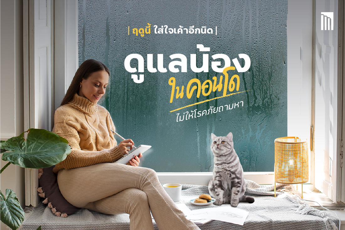 230609_Content_rainy-season_Blog03.png