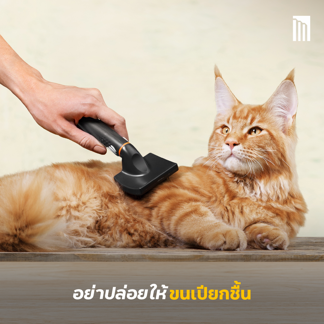 230609_Content_rainy-season_FB02.png
