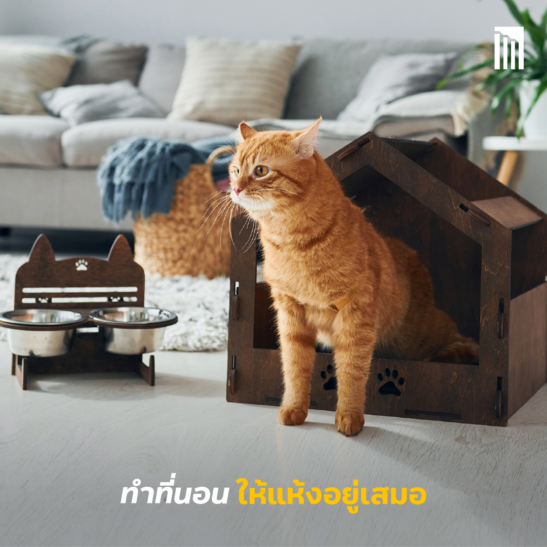 230609_Content_rainy-season_FB03.png