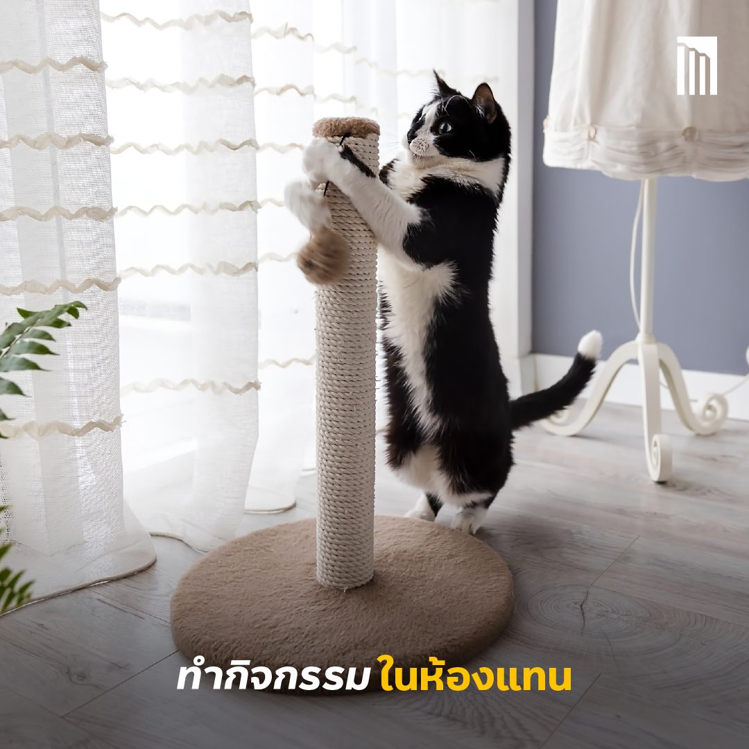 230609_Content_rainy-season_FB04.png