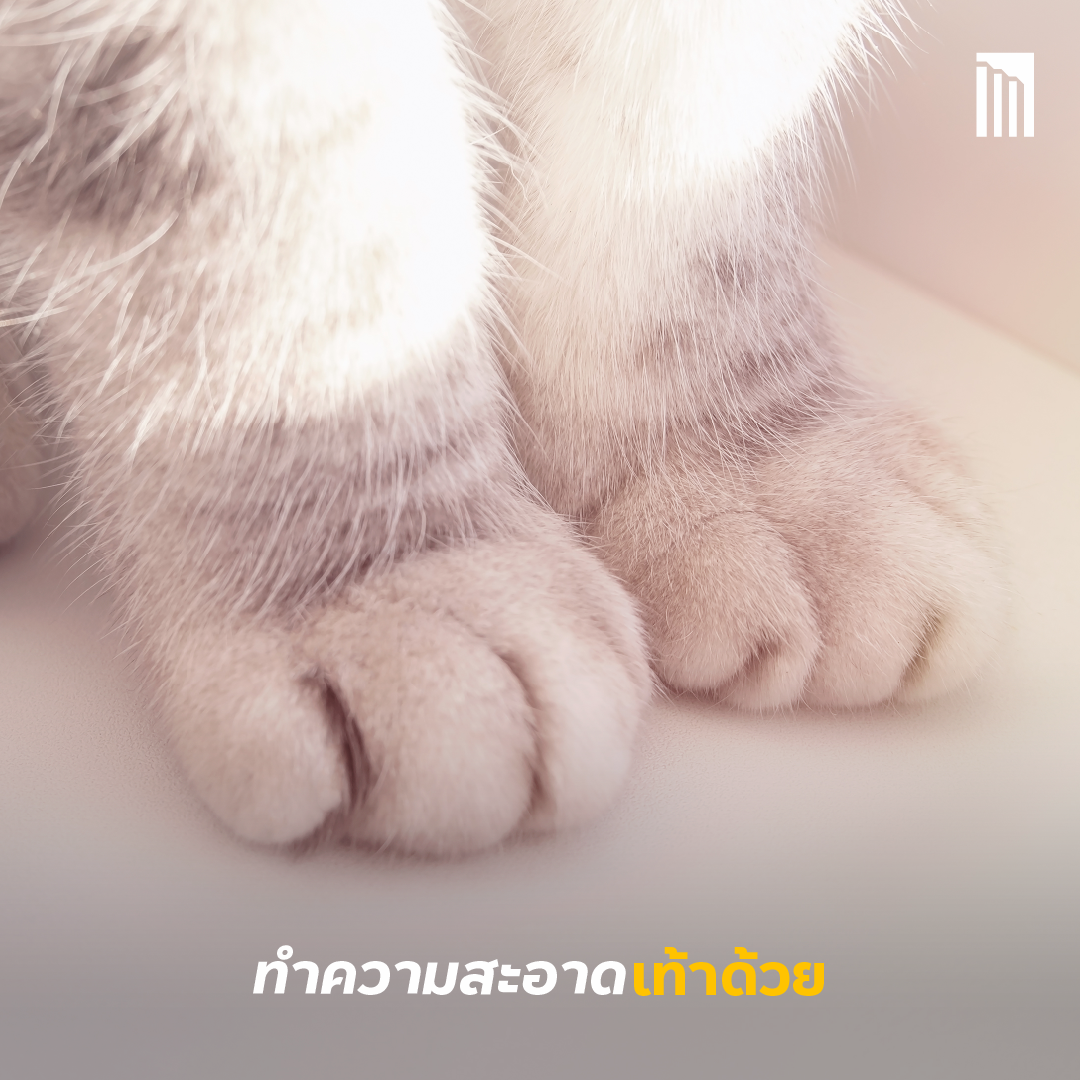 230609_Content_rainy-season_FB05.png