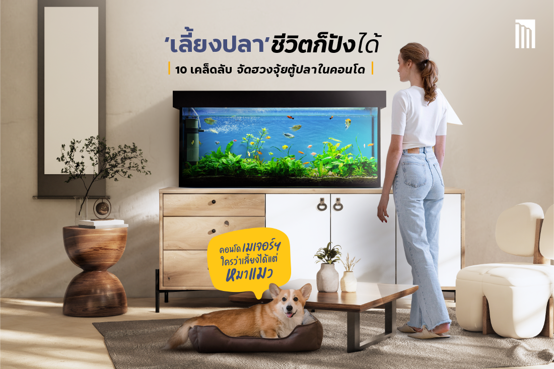 230730_Content_aquarium_Blog2.png