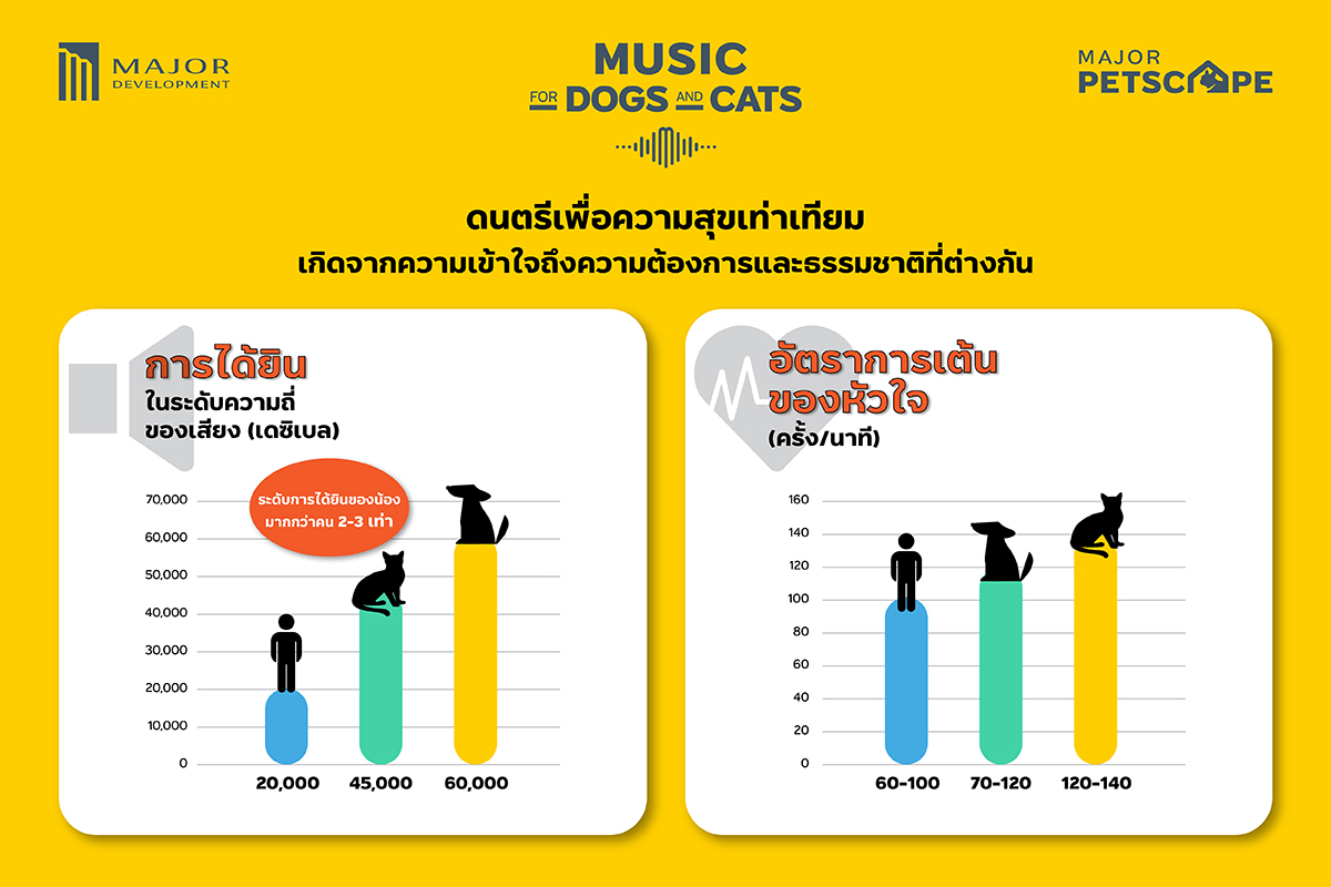4.-Music-for-Dogs-and-Cats-Infographic.jpg