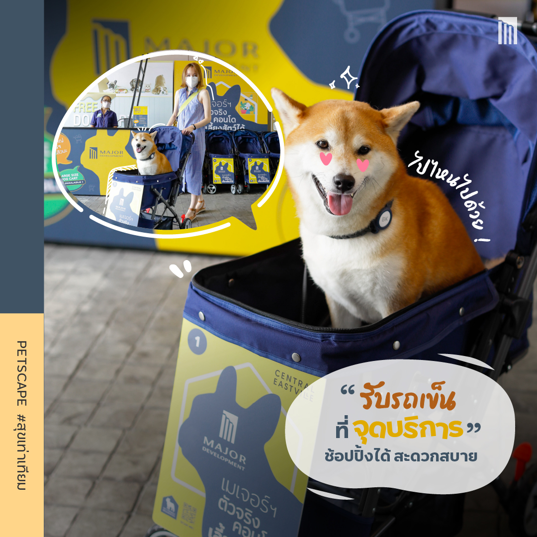 AW-Content_PETSCAPE-CentralE_V1_P2-2-100.jpg