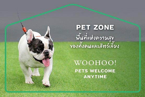 Pet-Zone_Blog-Thumbnail.jpg